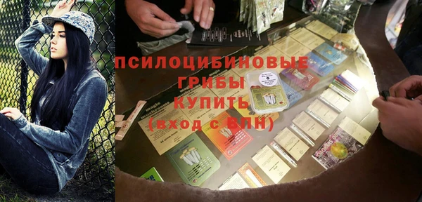 ГАЛЛЮЦИНОГЕННЫЕ ГРИБЫ Россошь