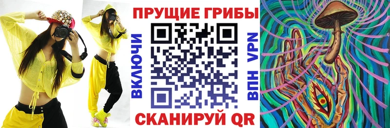 Галлюциногенные грибы мухоморы  сколько стоит  Сураж 